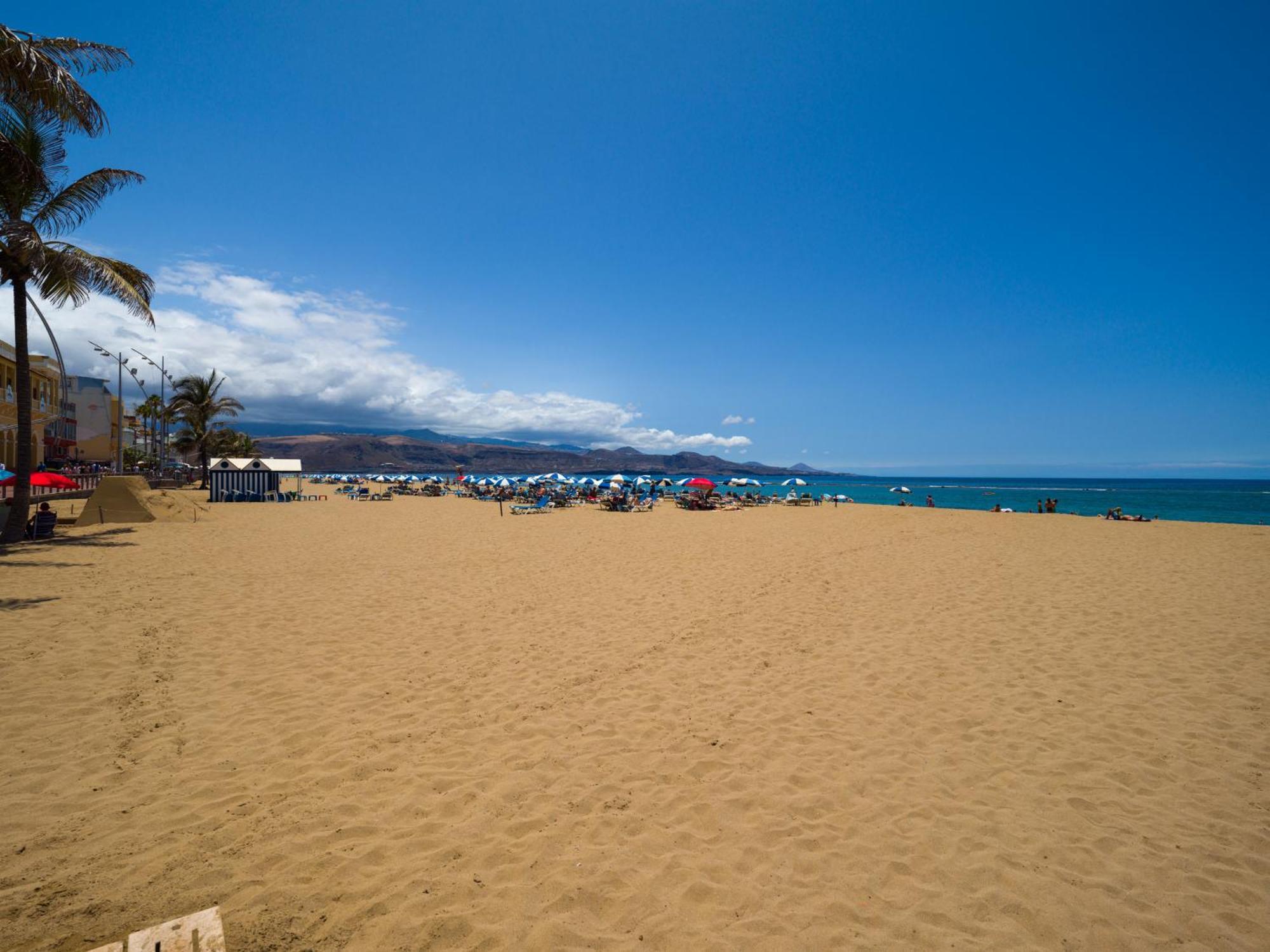 Retama Canteras By Canariasgetaway Las Palmas